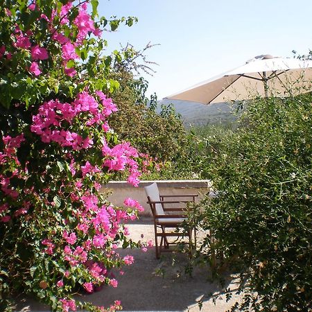 Villa Ouranos Kíssamos Eksteriør billede